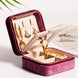 Velvet Travel Case