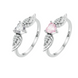 Anillo de alas (plata S925)